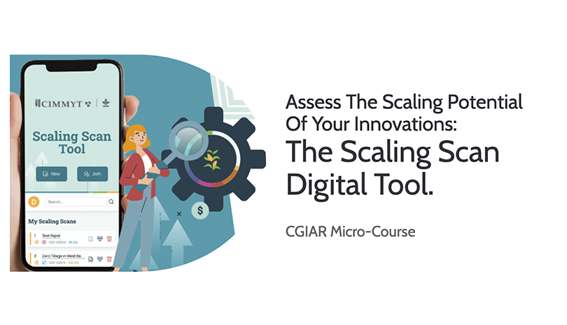 Assess the scaling potential of your innovations: The Scaling Scan digital tool.